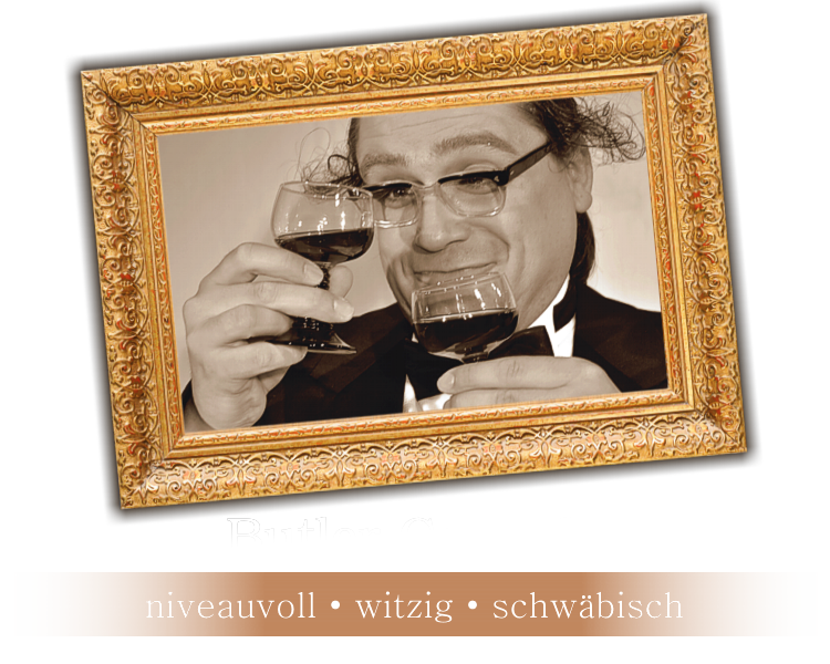 Comedy Kellner - Theo Steichele